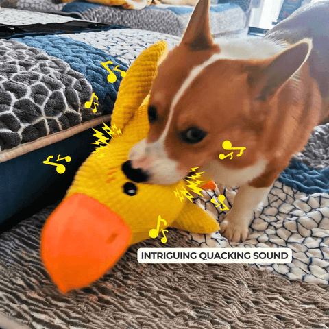Calming Duck Toy by Wowpetsmart®-🔥 Halloween Special Buy one get one free